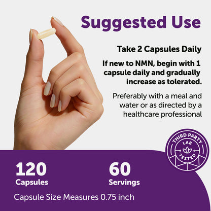 Micro Ingredients NMN Complex 1,000mg Per Serving, Veggie Capsules